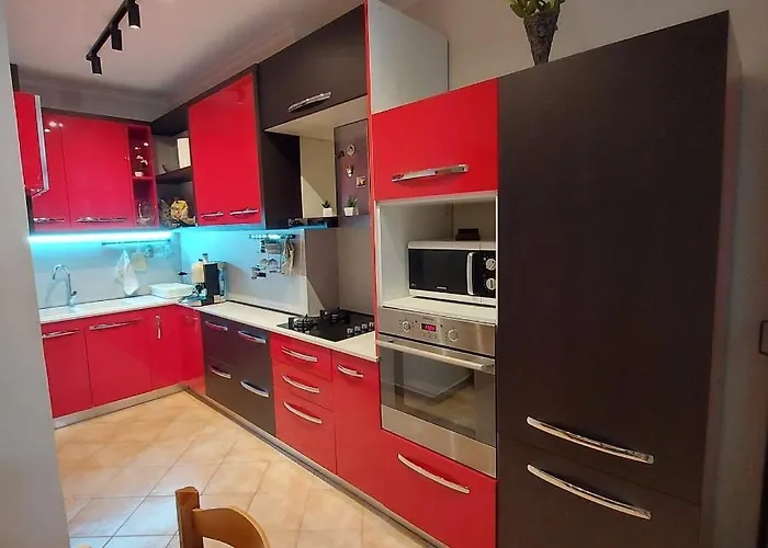 דירה Cozy 1-bedroom Near The Center Of Tirana. טיראנה